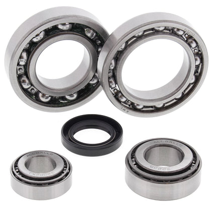All Balls Rear Differential Bearing and Seal Kit 25-2019_21524