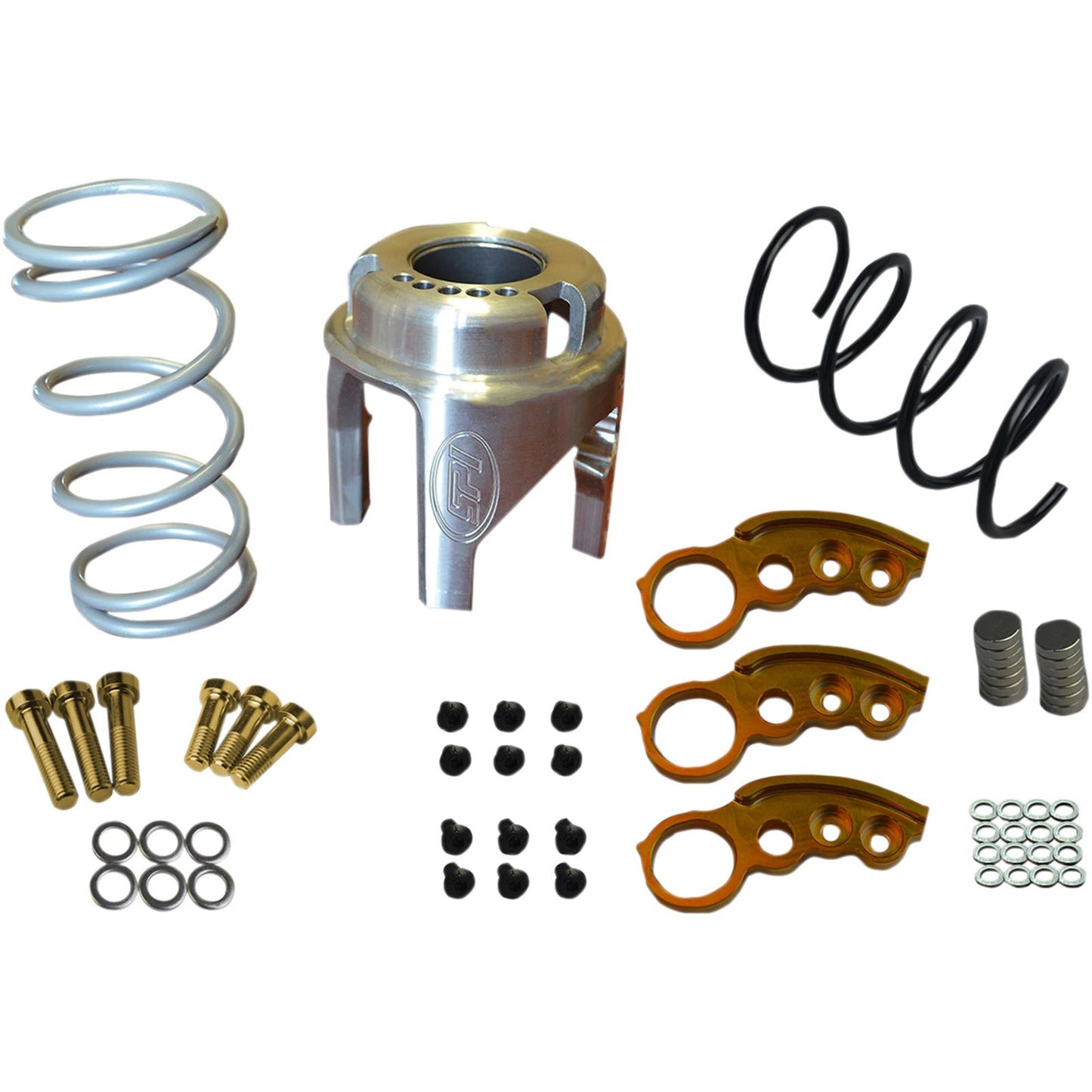 Straightline Performance Clutch Kit for Ski-Doo Gen4 850 - 137" Track - 0'-3000' Elevations [MPN: 121-238]_476539
