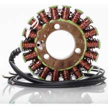 Ricks Stator [MPN: 21-007]_22667