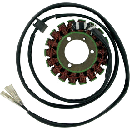 Ricks Stator [MPN: 21-301]_466095