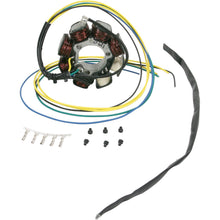 Ricks Stator [MPN: 21-621]_465730
