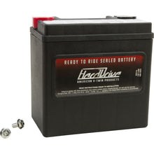 Harddrive Battery YTx14L 240CCA Factory Activated Sealed AGM HVT-3-FP_25433