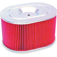 Hiflofiltro Air Filter HFA1905_393182