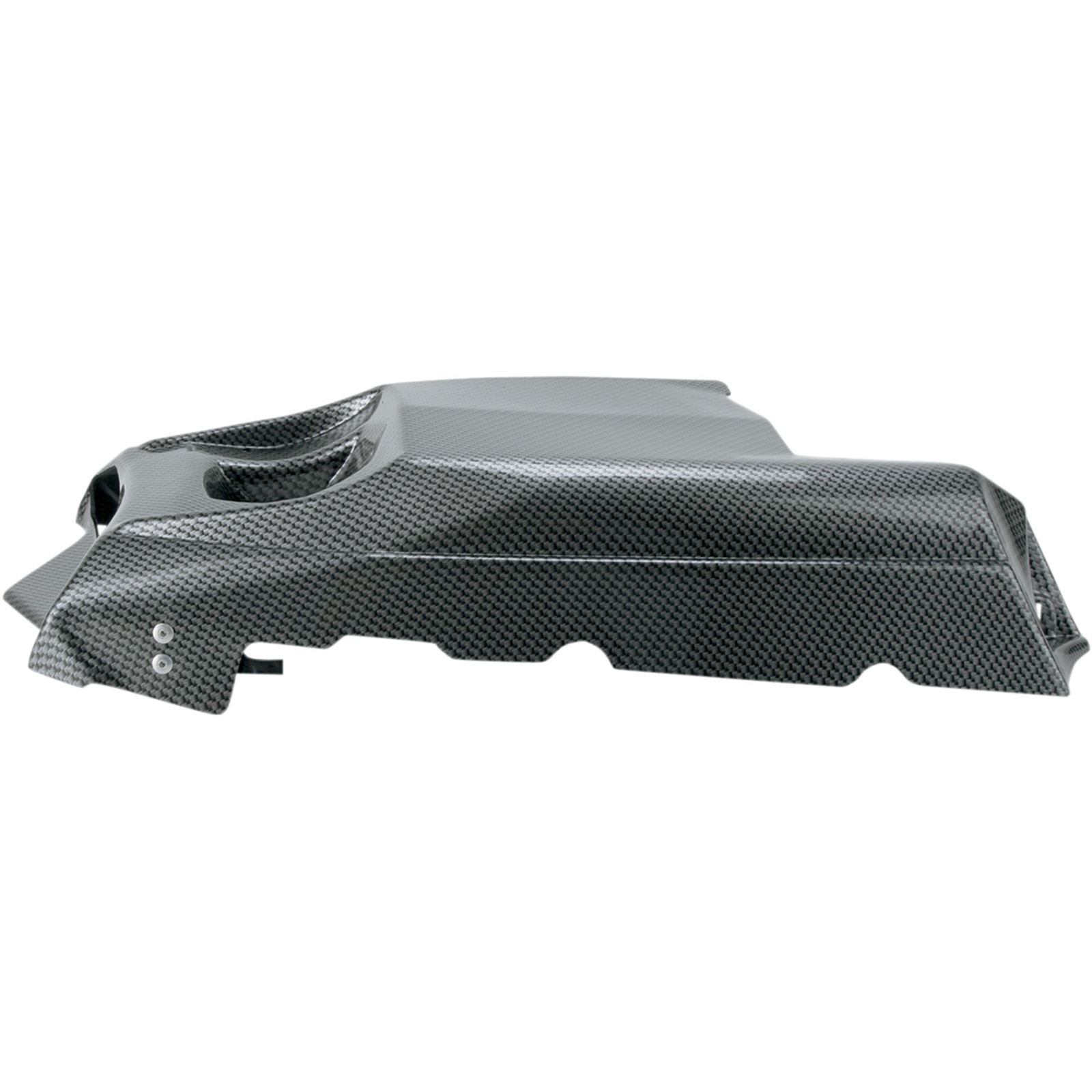 Maier Tail Cover Carbon Black for Yamaha 700 Raptor 19005-30_423886