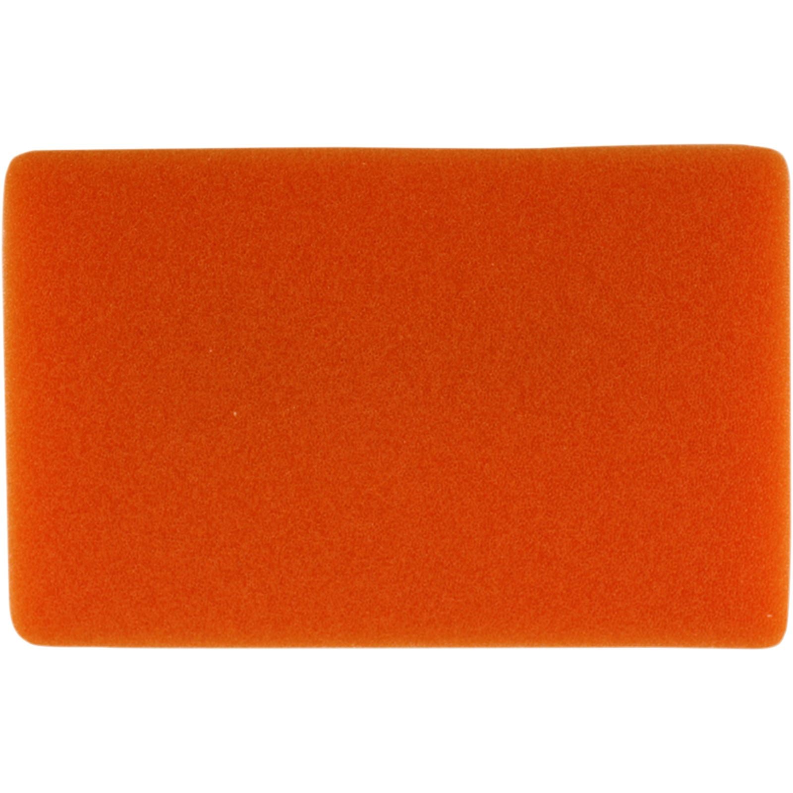 Twin Air Air Filter 152131_486038