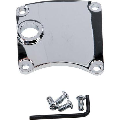 Harddrive Inspection Cover with Mid Controls Chrome  210245_1479325