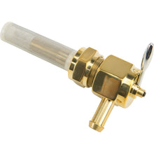 Harddrive Brass Petcock Hex 22mm Right Side Position [MPN: 022687]_32509