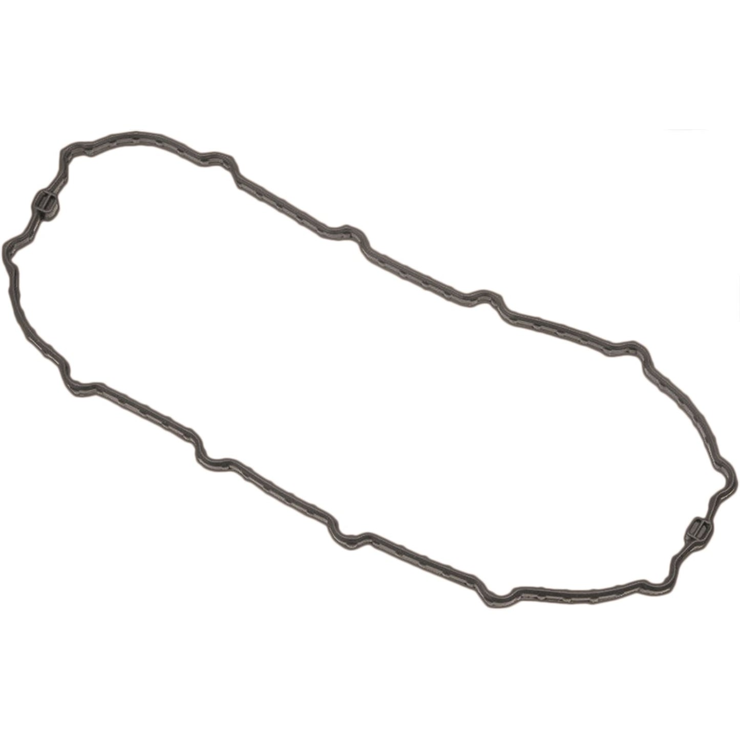 Harddrive Fuel Pump Door Gasket 022255_38499