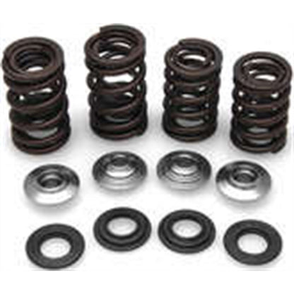 KPMI Racing Valve Spring Kit [MPN: 30-30640]_38955