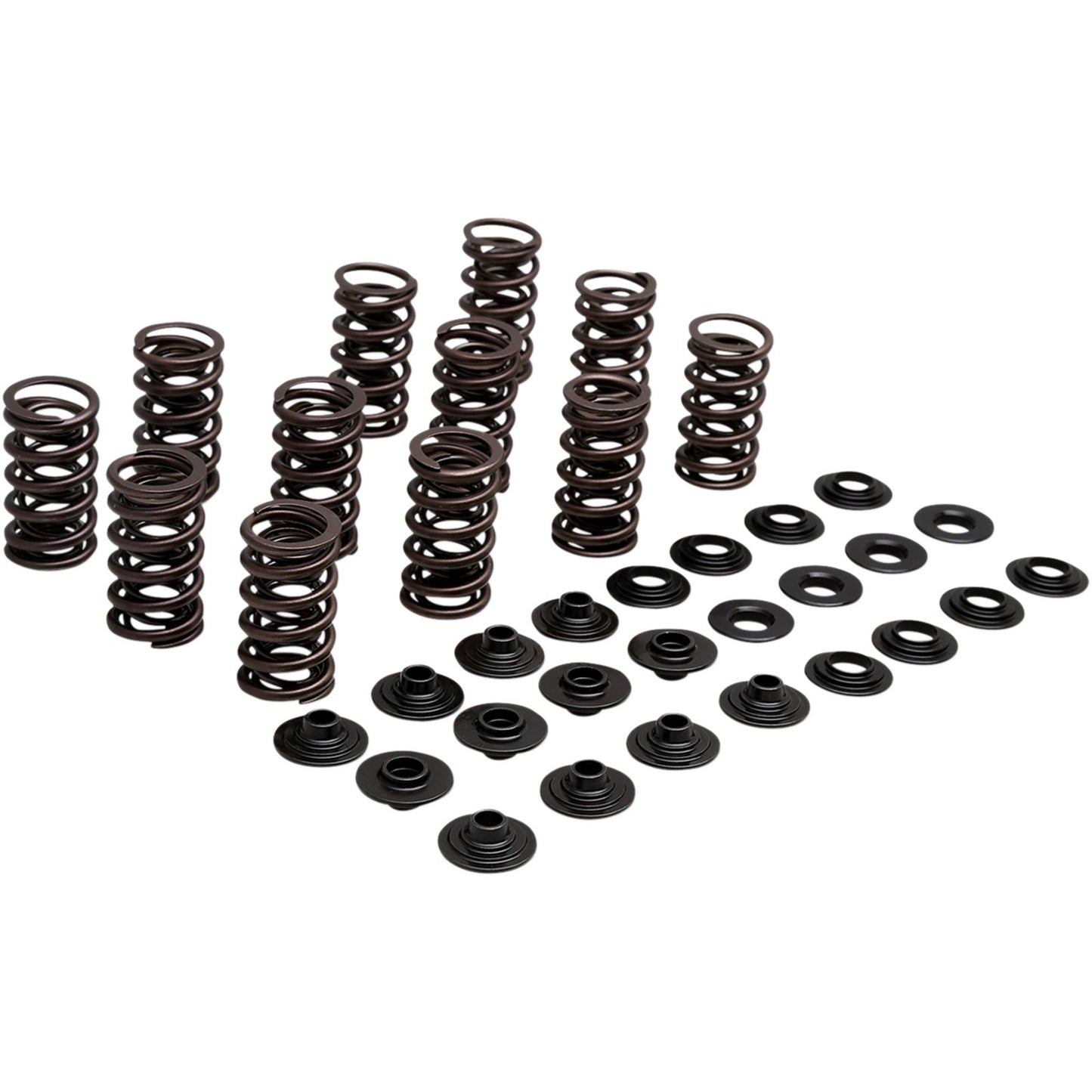 KPMI Racing Valve Spring Kit [MPN: 80-81700]_407544