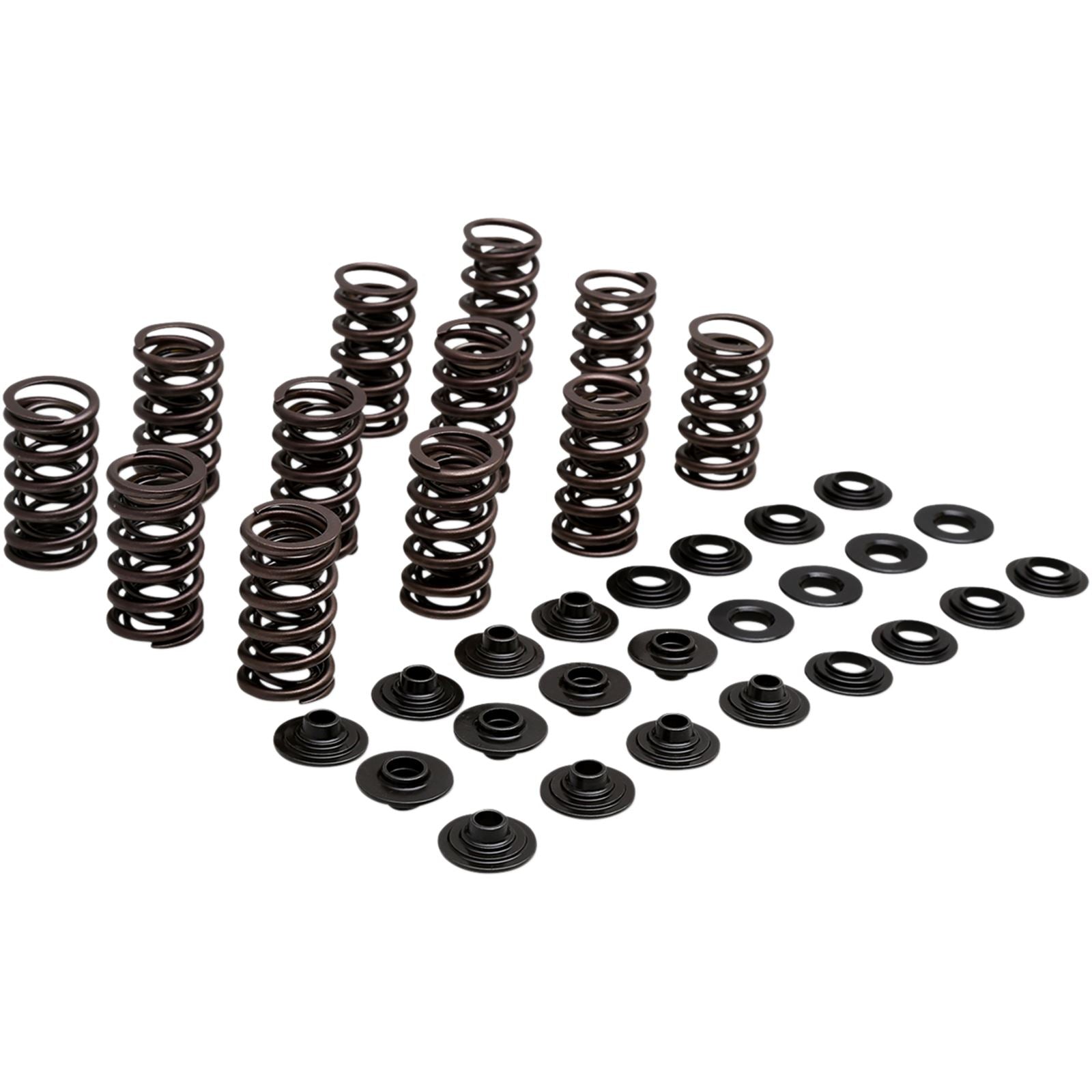 KPMI Racing Valve Spring Kit [MPN: 80-81700]_407544