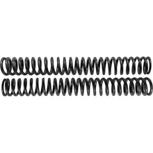 Harddrive Scepter Option Spring Standard 49mm R3050080_1069227