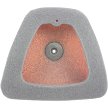 Twin Air Air Filter 152222FR_486060