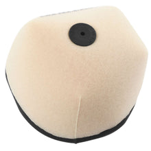 Twin Air Air Filter 153221FR_66391