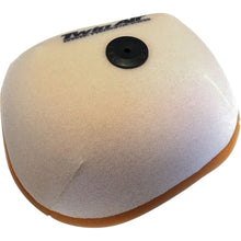 Twin Air Air Filter 151124_66400