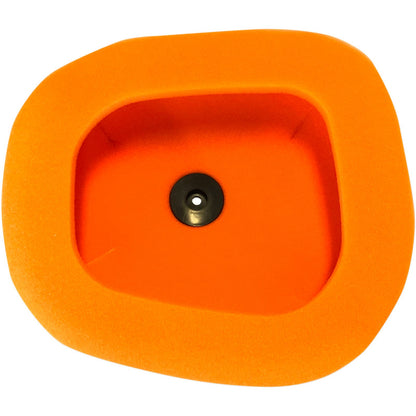 Twin Air Air Filter 151124_486068