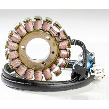 Ricks Stator [MPN: 21-822]_69062