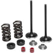 KPMI Intake Valve/Spring Kit [MPN: 30-32440]_69155