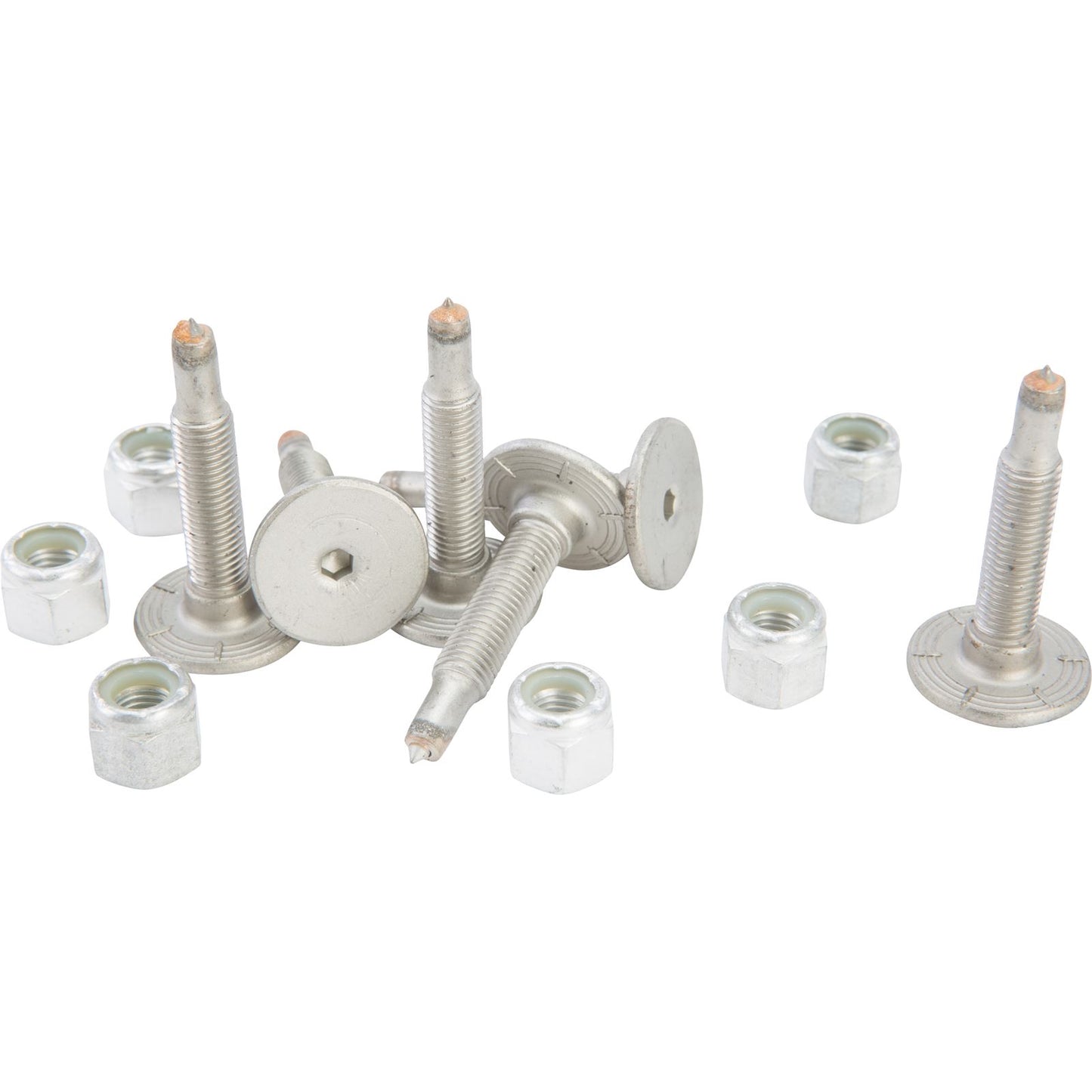 Woodys Signature Series Stainless Steel Studs 1.450" - 6/Pack SSP-1450-FS_70610