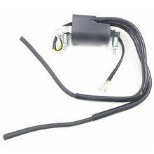2FastMoto 12 Volt Ignition Coil Set For Kawasaki Suzuki 21121-1174 / 21121-1001_658406
