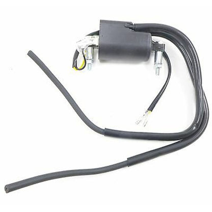 2FastMoto 12 Volt Ignition Coil Set For Kawasaki Suzuki 21121-1174 / 21121-1001_658406