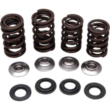 KPMI Racing Valve Spring Kit [MPN: 30-30920]_406884