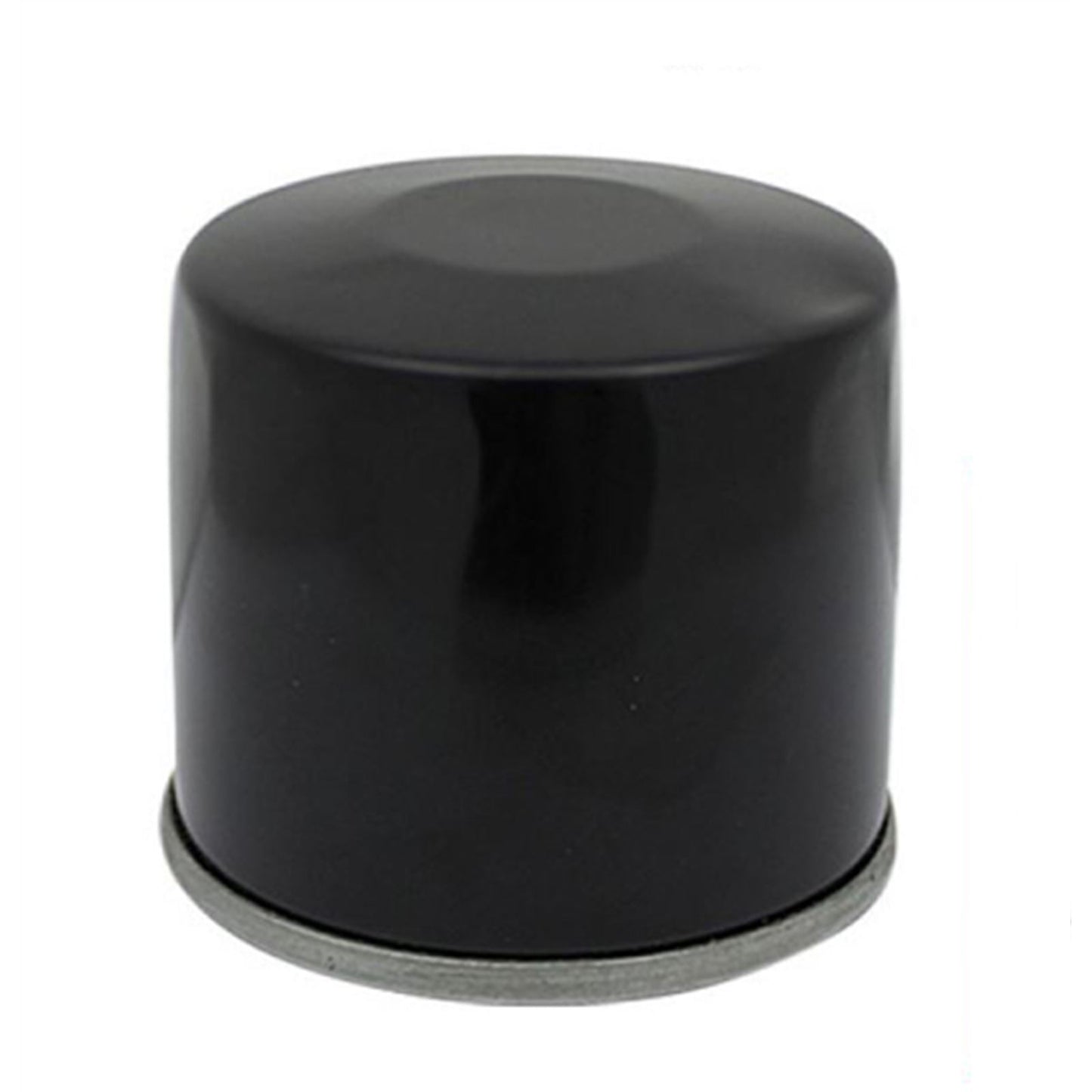 Emgo Oil Filter L10-55660_558431