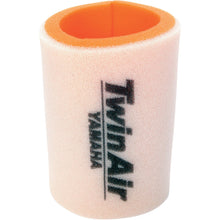 Twin Air Air Filter 152611_486164