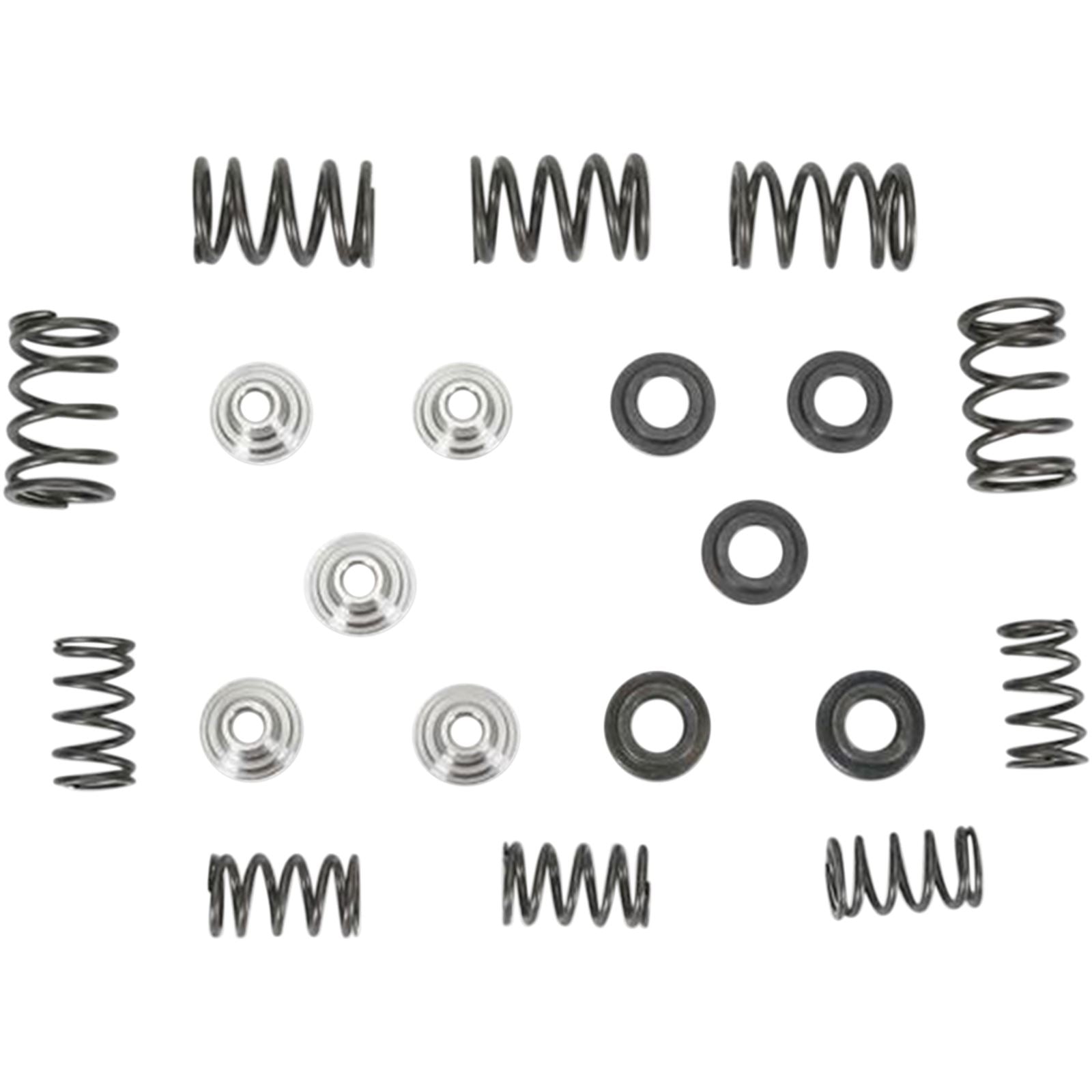 KPMI Racing Valve Spring Kit [MPN: 80-80030]_407662