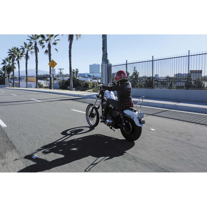 Burly Brand Tall Sissy Bar - Chrome B13-1503C_81221