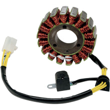 Ricks Stator [MPN: 21-020]_465774
