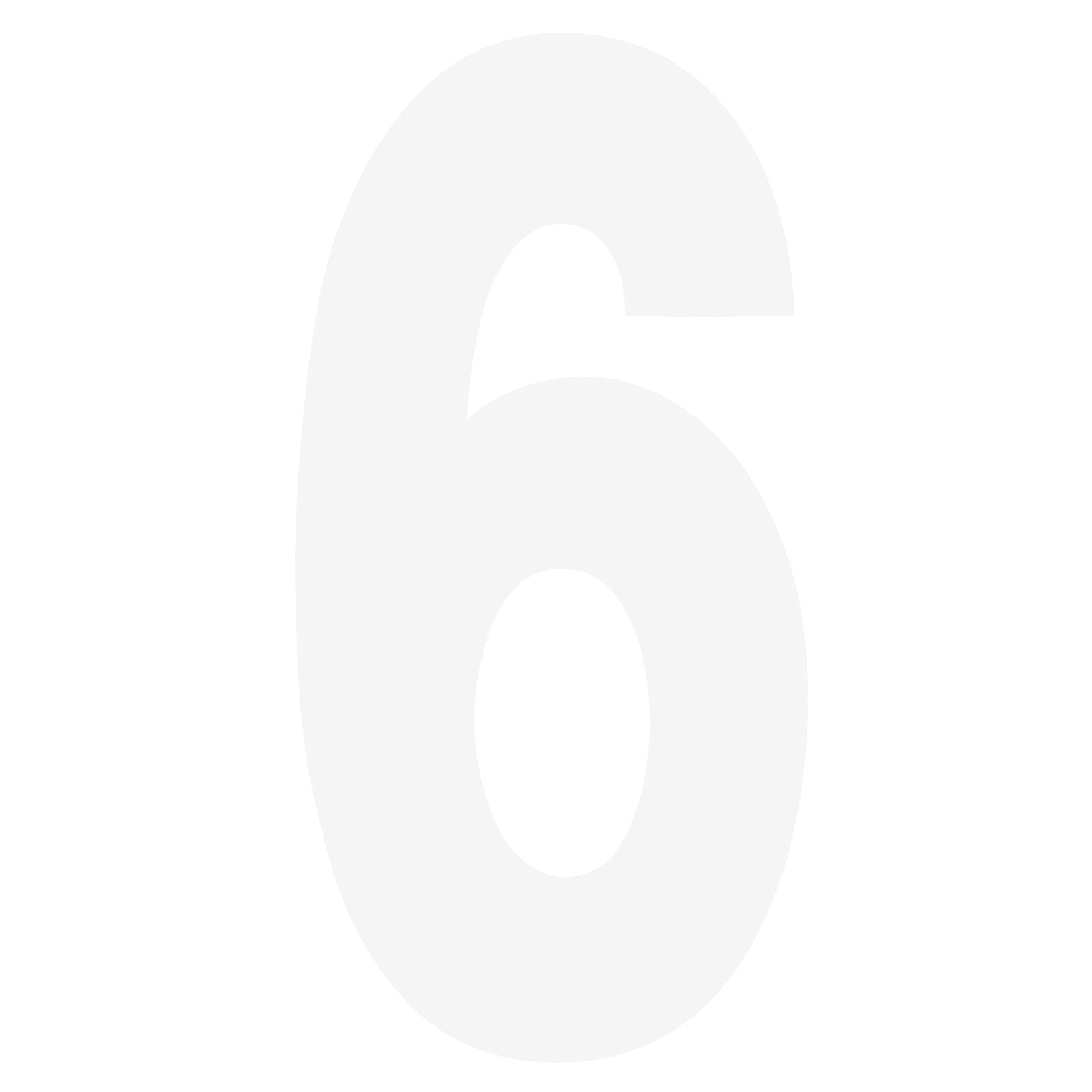 Factory Effex FX Number 6 - White - 6" 02-4466_84479