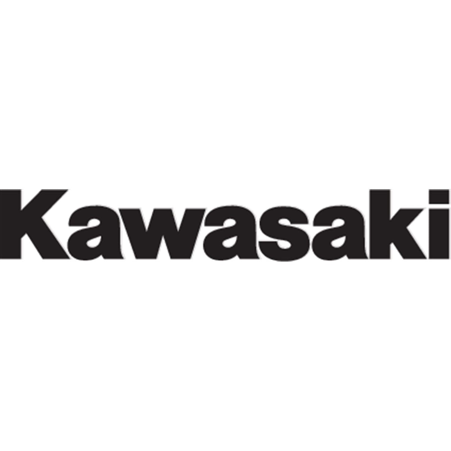 Factory Effex Fork/Swingarm Decal Fits Kawasaki - Black 09-44114_384827