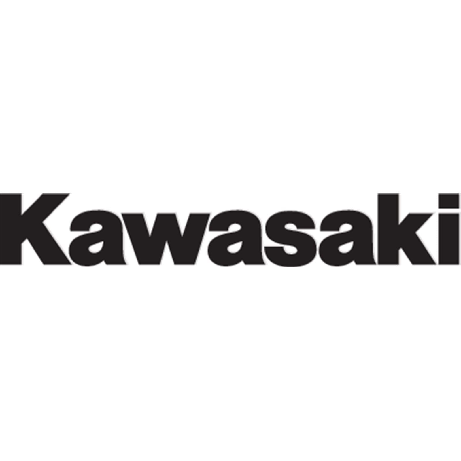 Factory Effex Fork/Swingarm Decal Fits Kawasaki - Black 09-44114_384827