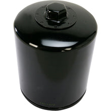 Hiflofiltro Oil Filter HF171BRC_393141