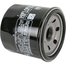 Hiflofiltro Oil Filter HF129_393110