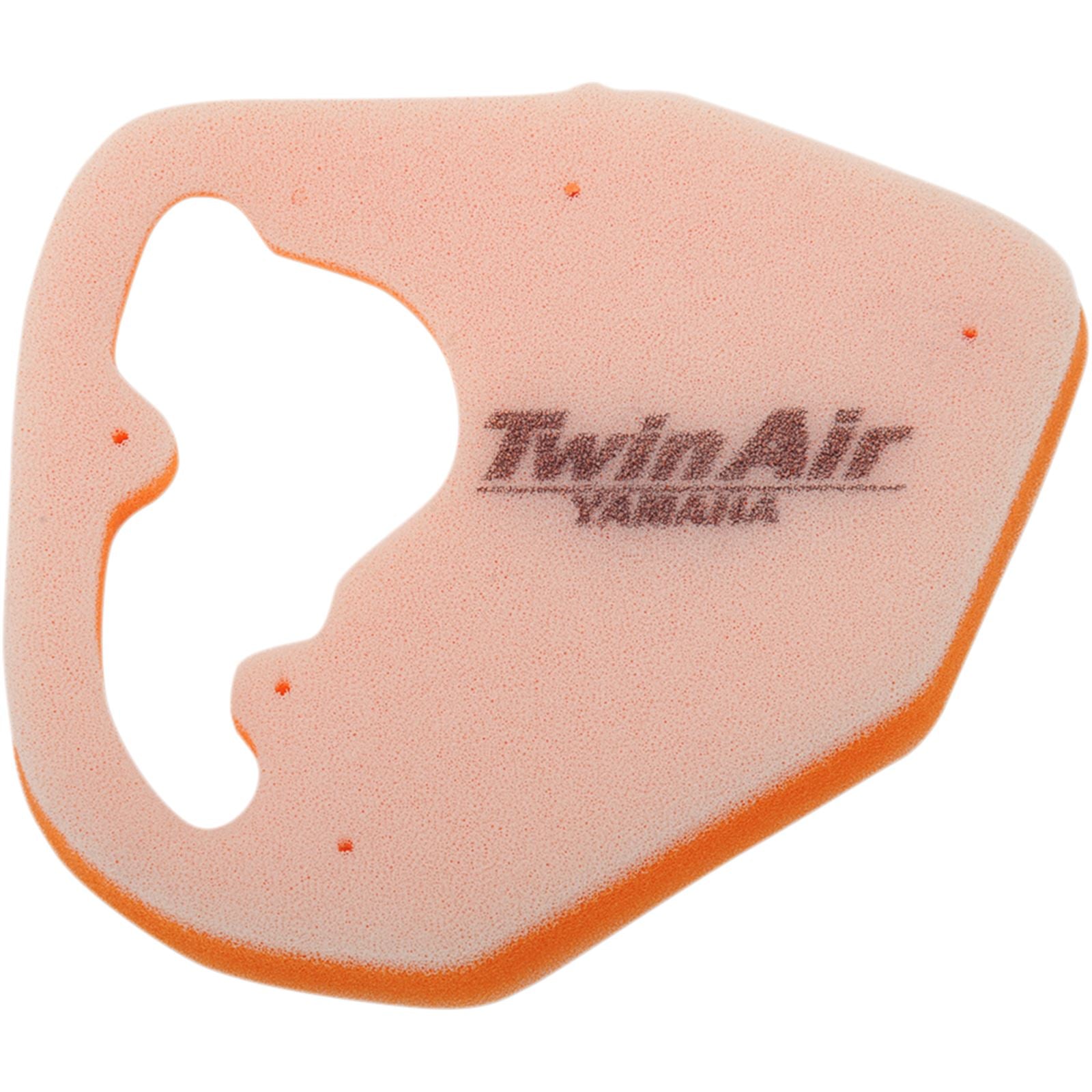 Twin Air Air Filter 152385_485924