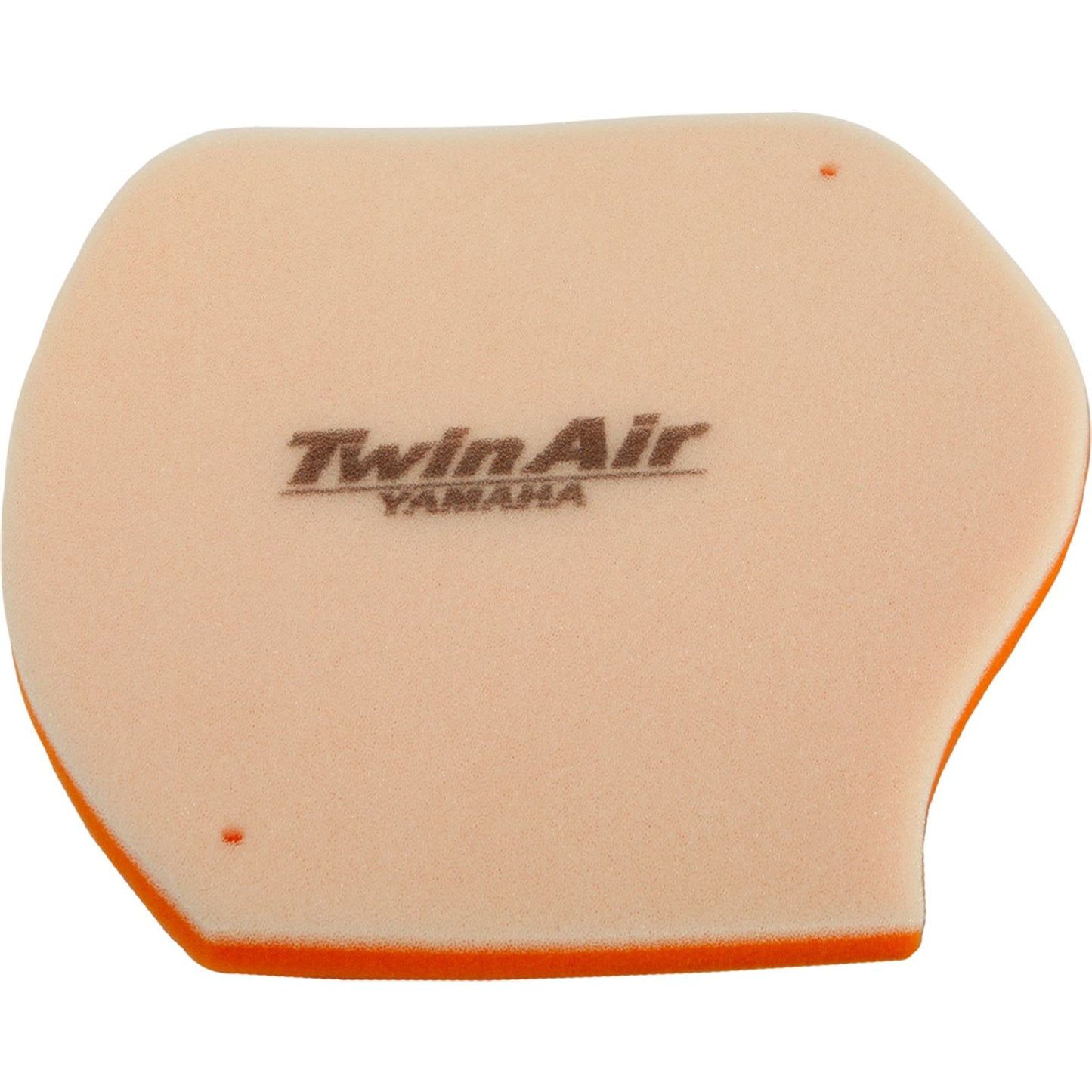 Twin Air Air Filter 152912_91925