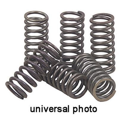 EBC Brakes Spring Kit CSK167 CSK167_1080533