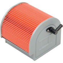 Hiflofiltro Air Filter HFA1212_393434