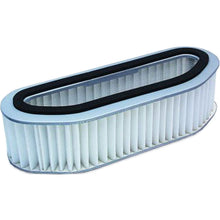 Hiflofiltro Air Filter HFA1701_96497