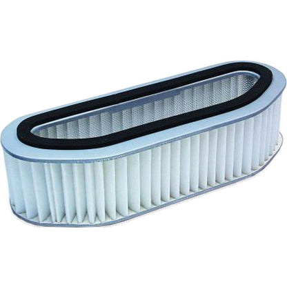 Hiflofiltro Air Filter HFA1701_96497