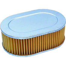 Hiflofiltro Air Filter HFA1702_96505