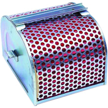 Hiflofiltro Air Filter HFA1703_96509