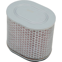 Hiflofiltro Air Filter HFA1713_393425