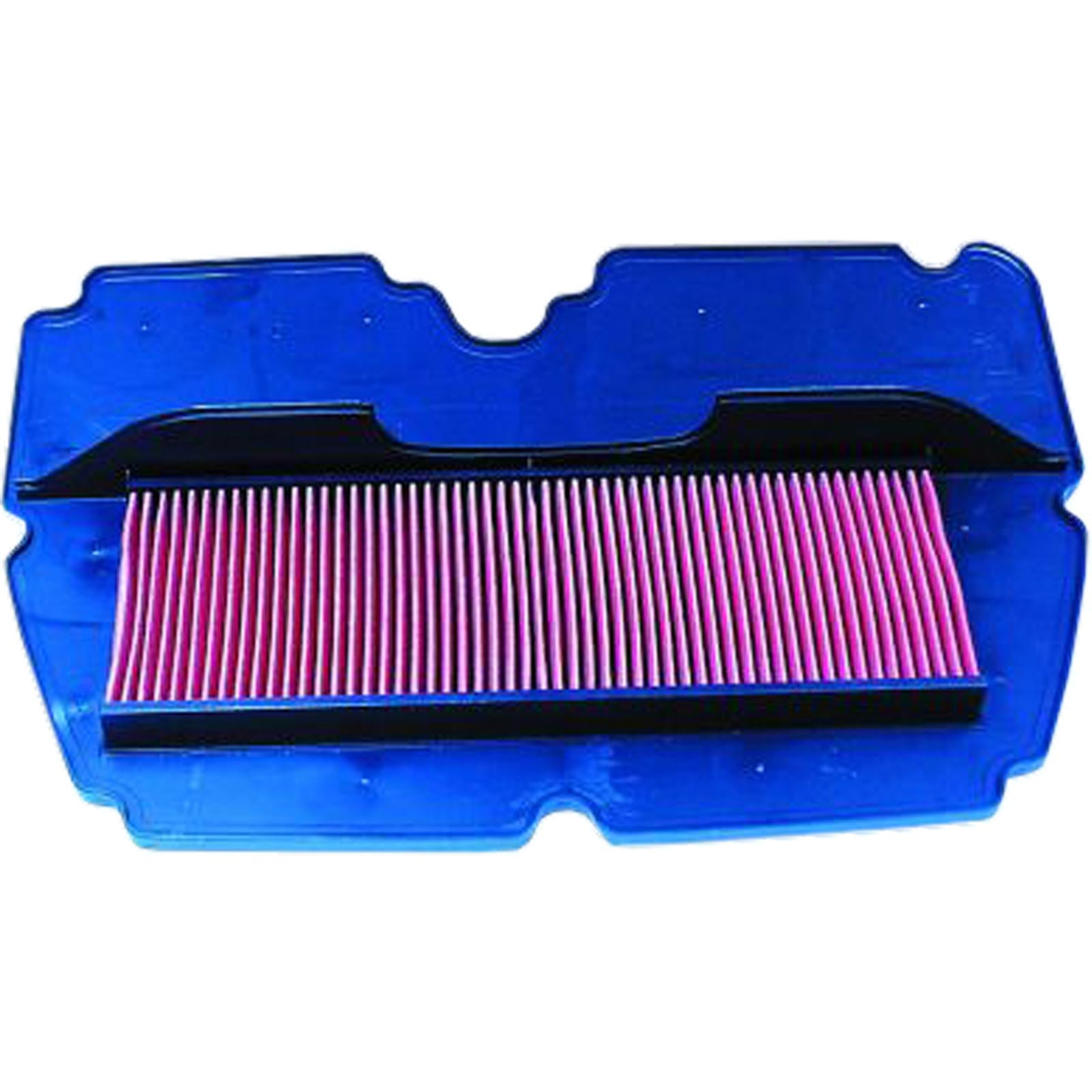 Hiflofiltro Air Filter HFA1901_96583