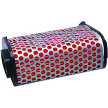 Hiflofiltro Air Filter HFA1903_96603