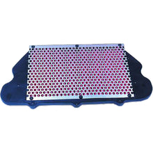 Hiflofiltro Air Filter HFA1910_96964