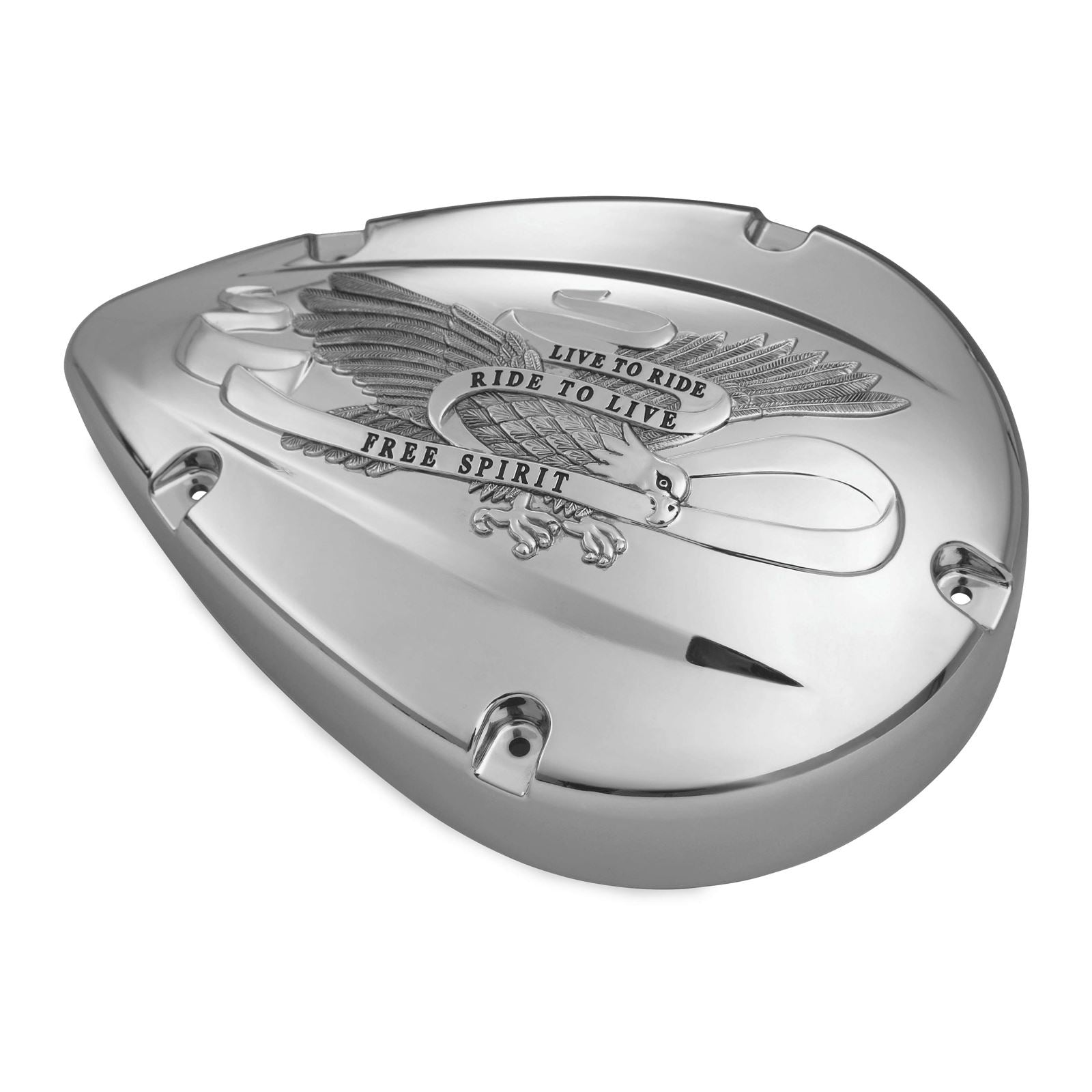 Show Chrome Cover Air Cleaner VT1300 55-354_100184