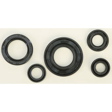 Vertex Oil Seal Set 822240_102424